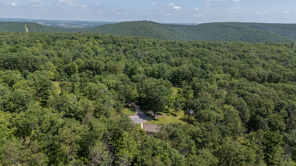 Wellsboro, Pennsylvania 16901, United States, 3 Bedrooms Bedrooms, ,2 BathroomsBathrooms,Residential,Active,156863