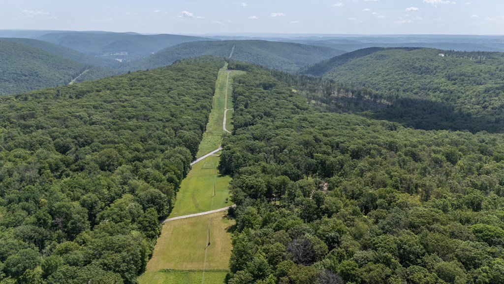 Wellsboro, Pennsylvania 16901, United States, 3 Bedrooms Bedrooms, ,2 BathroomsBathrooms,Residential,Active,156863