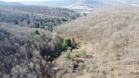 Photo for 00 Fox Hollow Rd