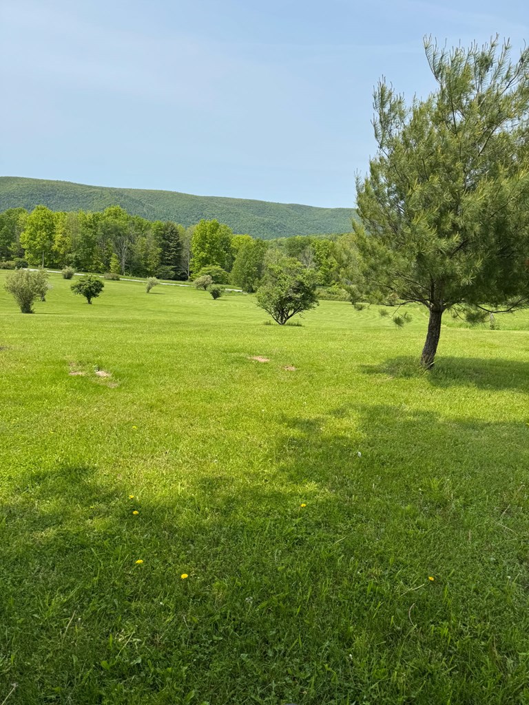Wellsboro, Pennsylvania 16901, United States, ,Land,Active,193654