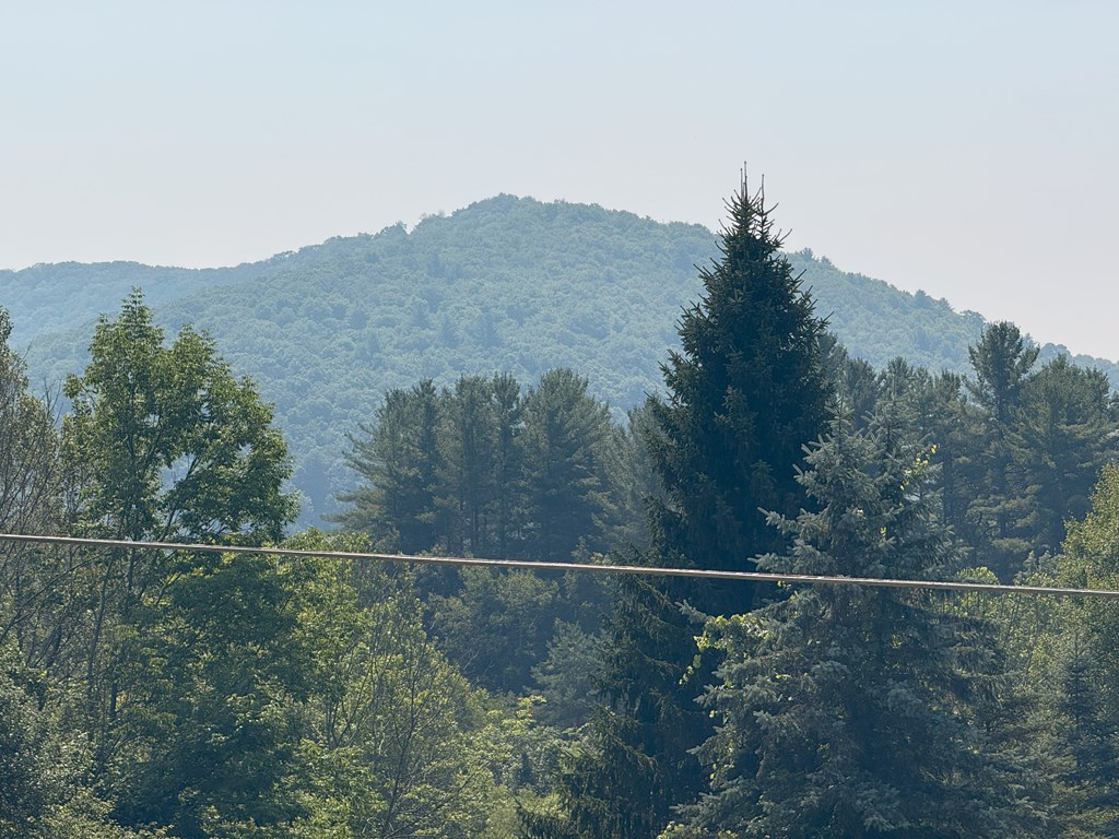 Gaines, Pennsylvania 16921, United States, 3 Bedrooms Bedrooms, ,2 BathroomsBathrooms,Residential,Active,184477