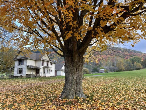 Photo for 1524 State Route 44