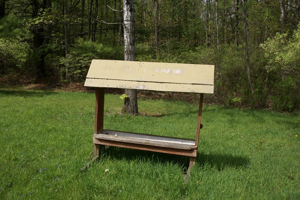 201 Rudys Road, Forksville, PA 18616 MLS 31718348 Listing