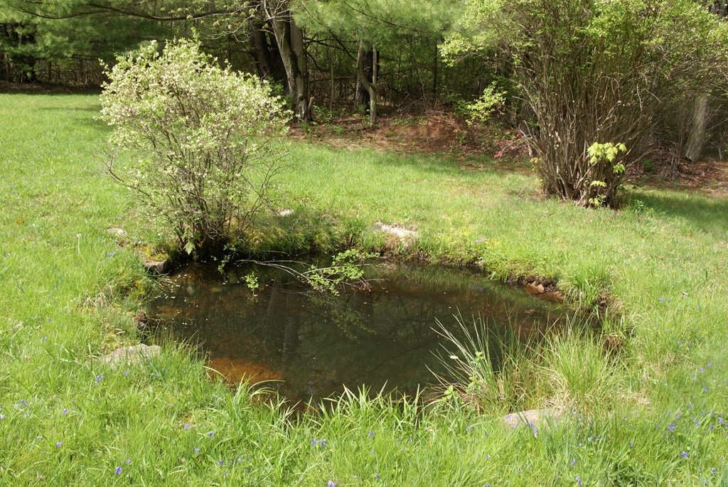 201 Rudys Road, Forksville, PA 18616 MLS 31718348 Listing