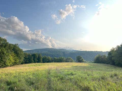 Photo for 33 acres Colwell Rd
