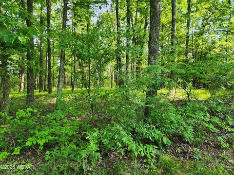 Photo for 279 Oak Lane Lot 79