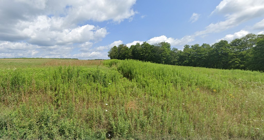 Coudersport, Pennsylvania 16915, United States, ,Land,Active,17252