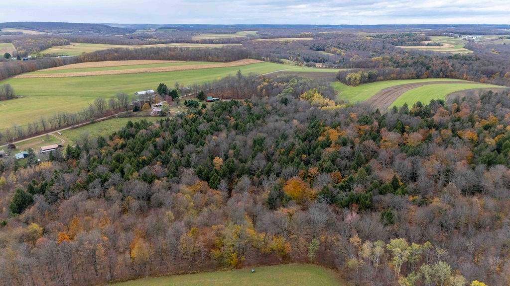 Ulysses, Pennsylvania 16948, United States, ,Land,Active,234865