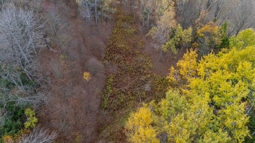 Ulysses, Pennsylvania 16948, United States, ,Land,Active,234865