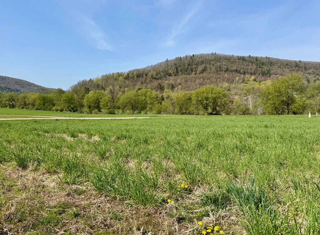 Knoxville, Pennsylvania 16928, United States, ,Land,Active,119540