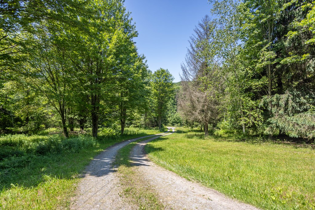 Wellsboro, Pennsylvania 16901, United States, 3 Bedrooms Bedrooms, ,2 BathroomsBathrooms,Residential,Active,149008