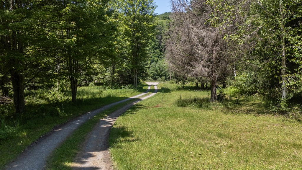 Wellsboro, Pennsylvania 16901, United States, 3 Bedrooms Bedrooms, ,2 BathroomsBathrooms,Residential,Active,149008