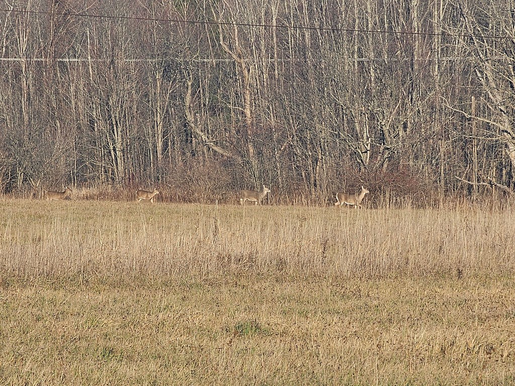 Middlebury Center, Pennsylvania 16935, United States, 3 Bedrooms Bedrooms, ,2 BathroomsBathrooms,Residential,Active,250050