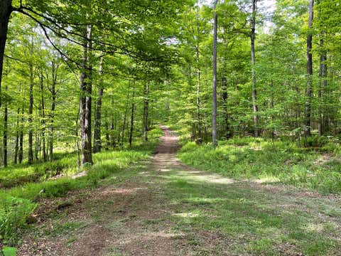 Photo for 00 Mystery Mountain Lane
