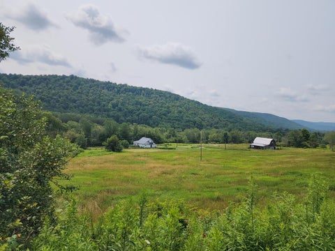 Photo for 1639 Eleven Mile Rd