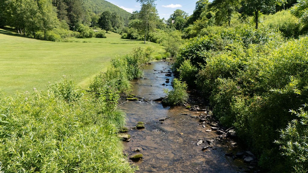 Galeton, Pennsylvania 16922, United States, 4 Bedrooms Bedrooms, ,3 BathroomsBathrooms,Residential,Active,175422