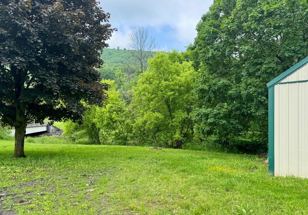 Harrison Valley, Pennsylvania 16927, United States, ,Land,Active,165281