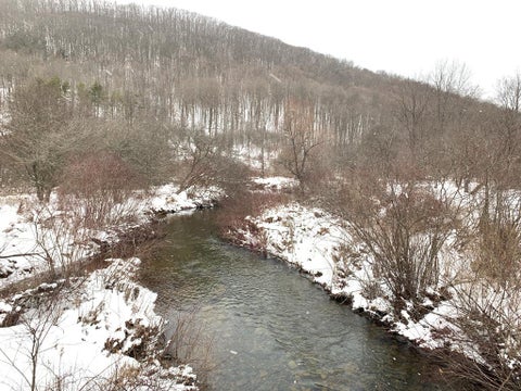 Photo for 428 West Branch Rd