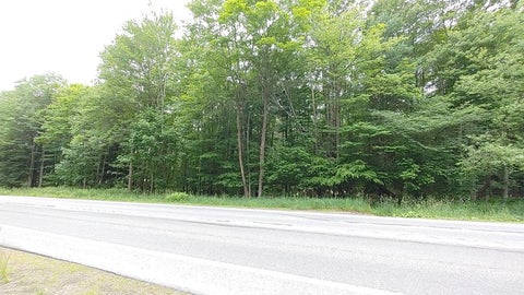 Photo for 0 Bloss Mountain Road
