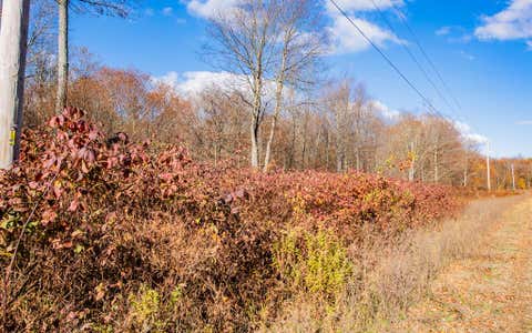 Photo for Parc 030 Glory Ridge Rd