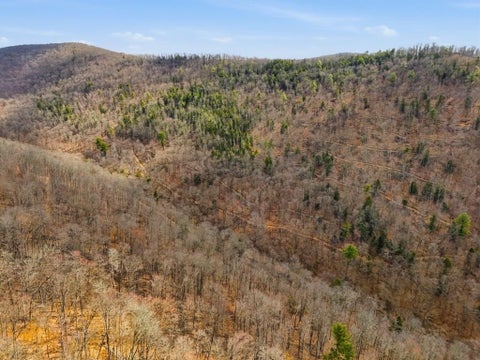 Photo for 00 Dodge Hollow Road
