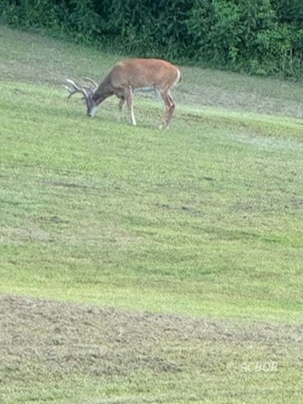 Photo of 446 Shaffer School Rd Rd, Oak Hill, OH 45656 (MLS # 2434553)