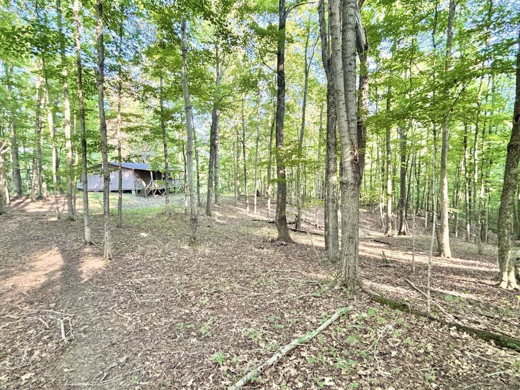 Photo of 3229 Painter Ridge Rd, Vinton, OH 45686 (MLS # 2433747)