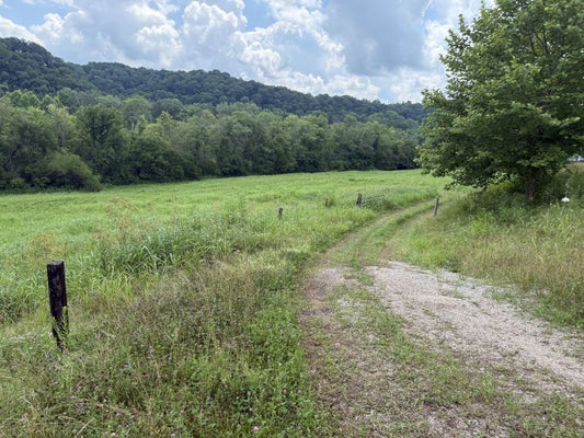 4 MILES AVE, LITTLE HOCKING, OH 45742 - Image 09b85a8d8d07a2f41701b8dbc60ac253/783061119