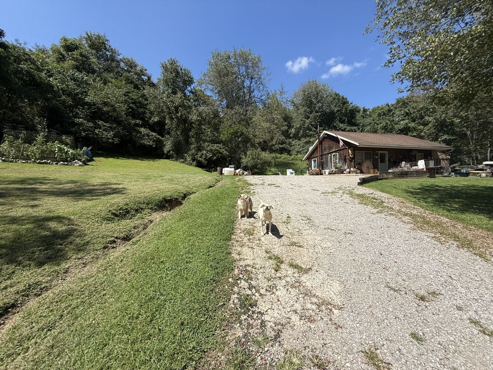 36923 Carpenter Hill Rd
