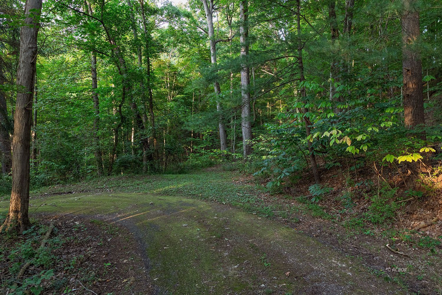 Cable Ln
