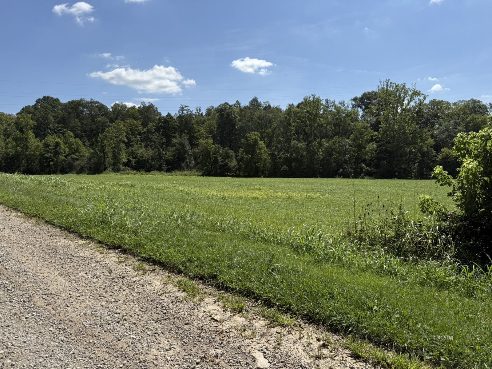 Woodyard Rd