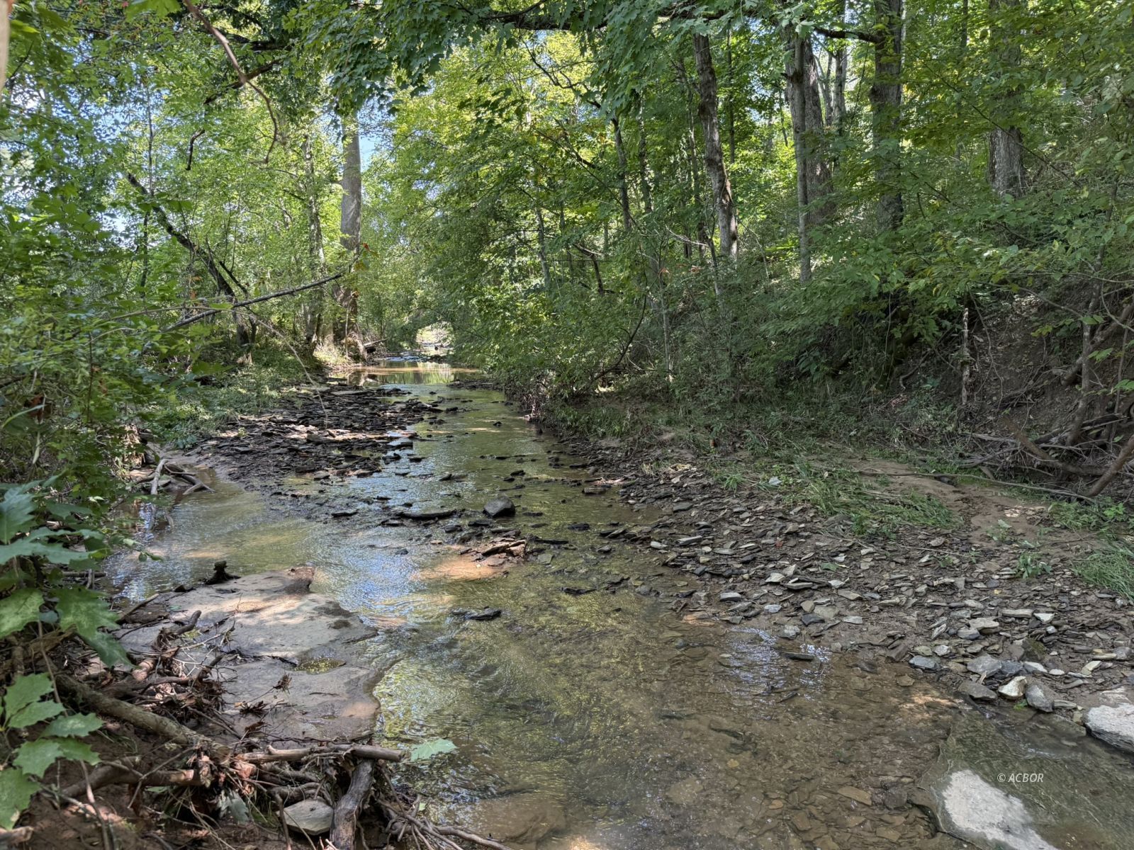 Woodyard Rd