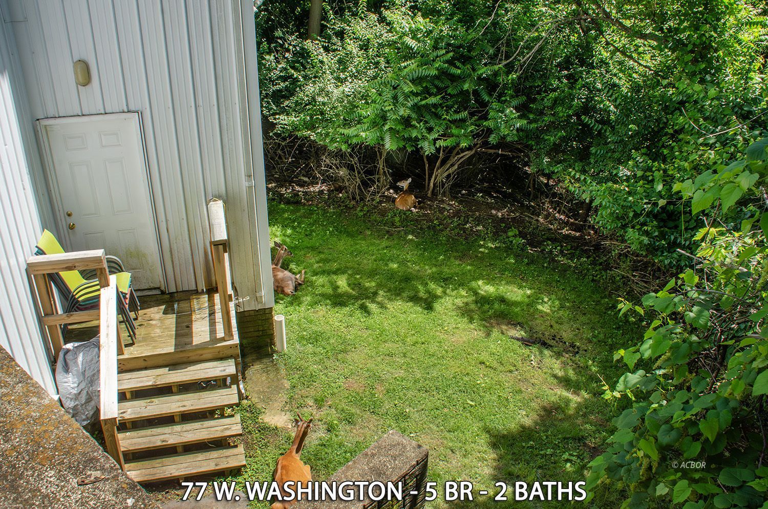 77 W Washington St