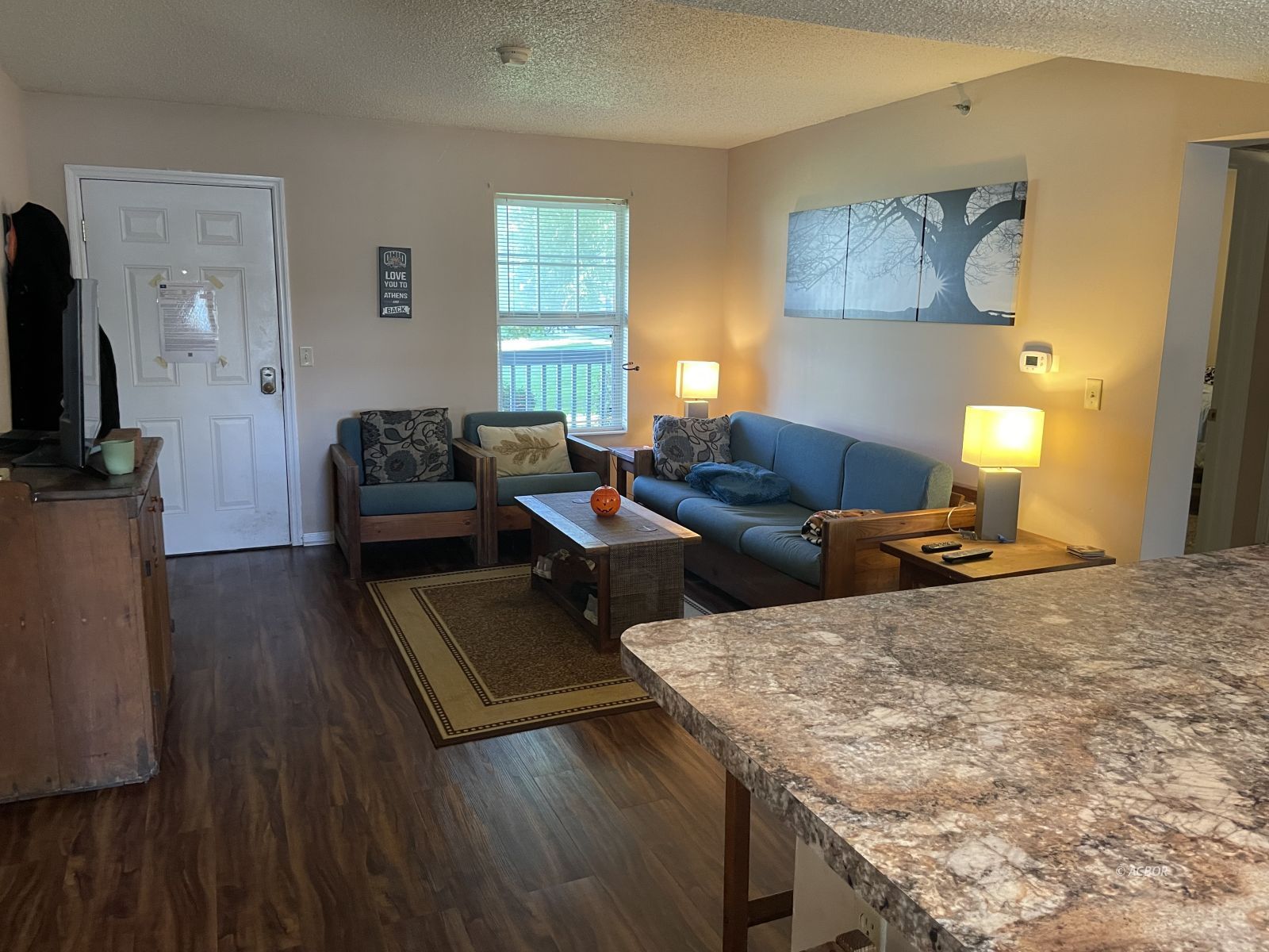 15 S Shafer St 1501