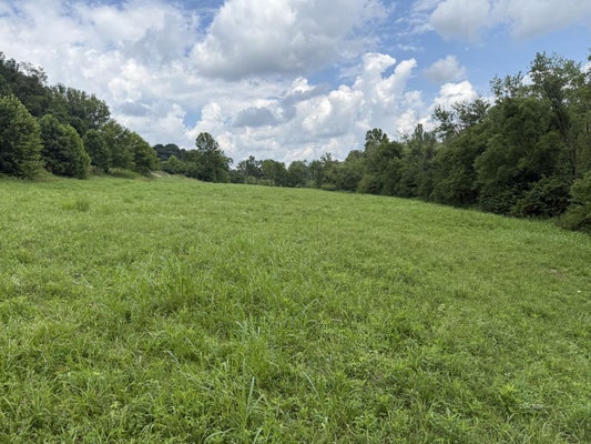 4 MILES AVE, LITTLE HOCKING, OH 45742 - Image 3d4f867d4193e186db7a1d6b0513a9aa/2201047146
