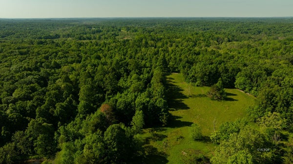 COOLVILLE RIDGE RD, ATHENS, OH 45701 - Image 3ffca1e616e8b2d0349ad6b66a9d73dc/2450008751