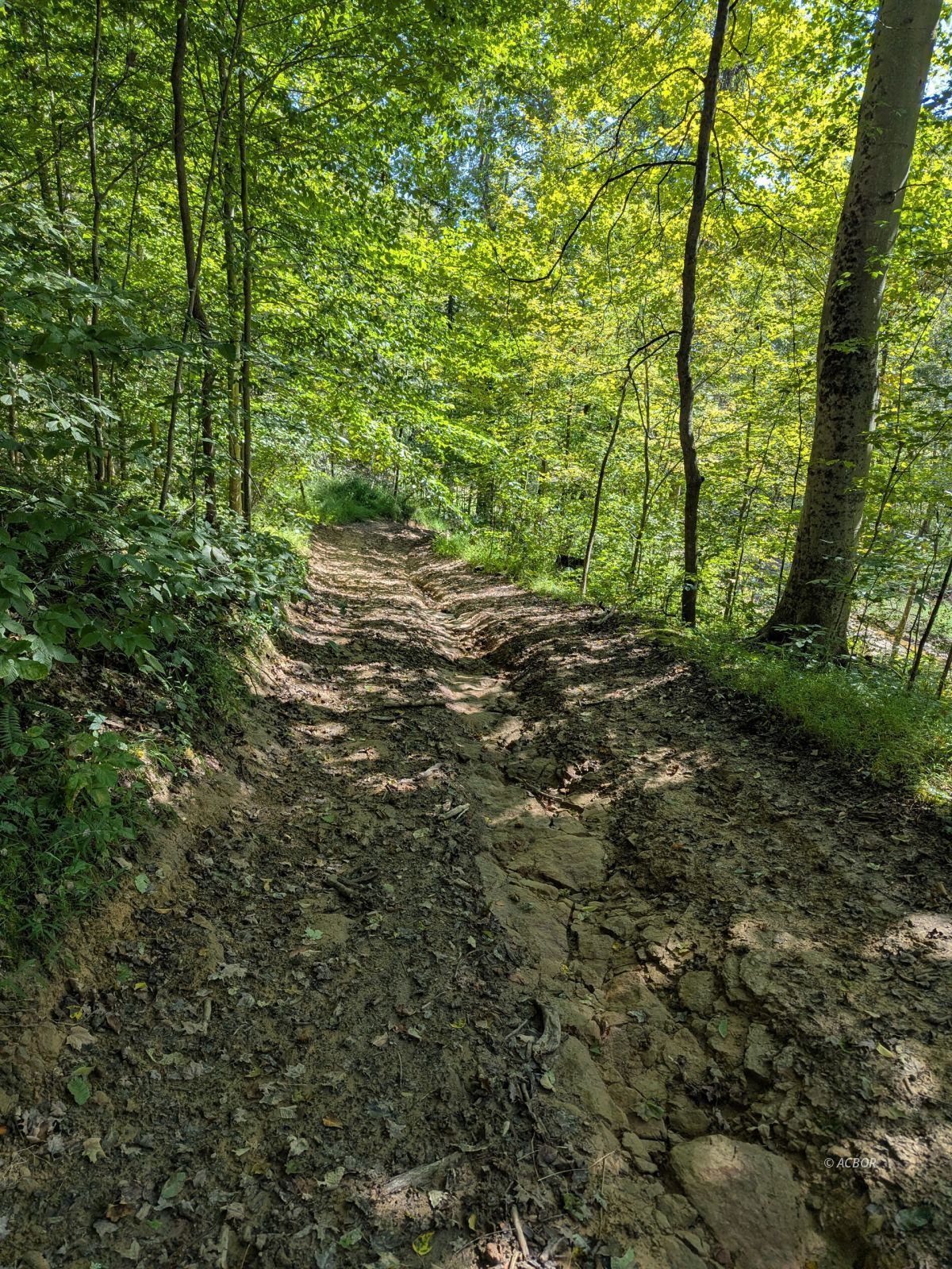 Hogue Hollow Rd