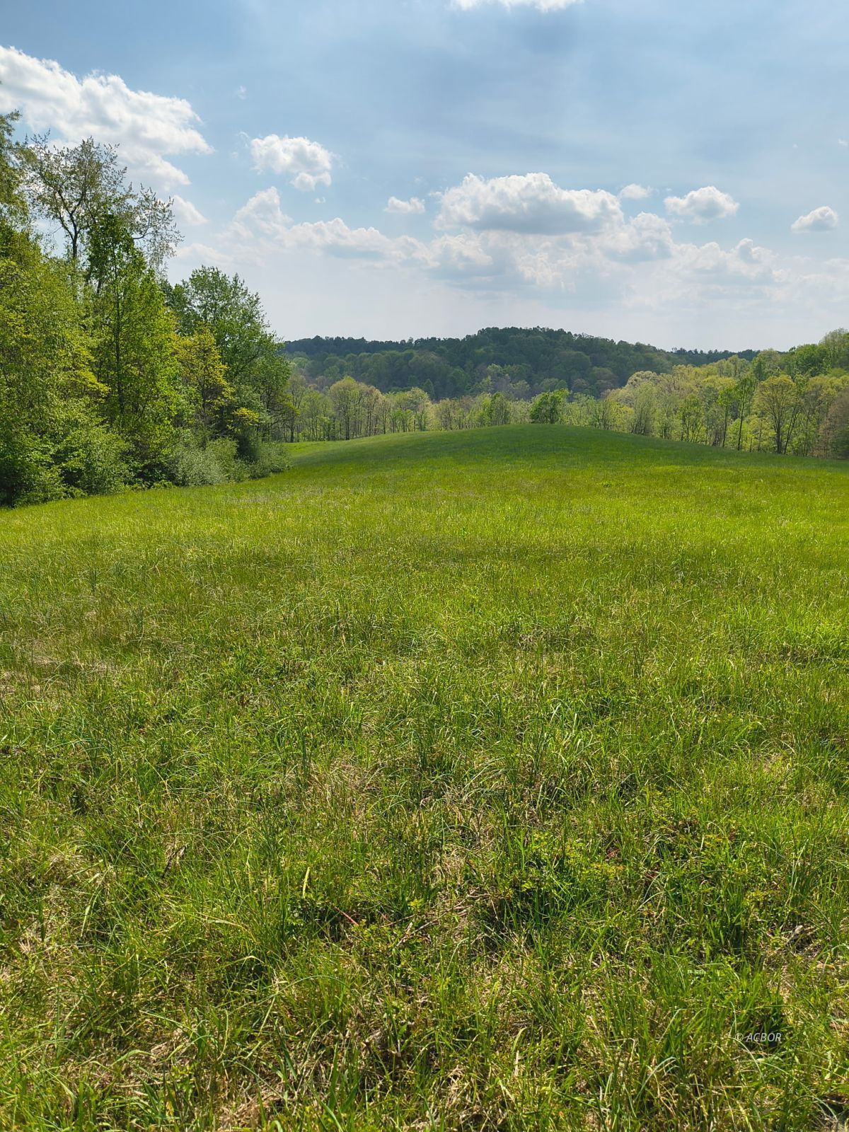 Hogue Hollow Rd