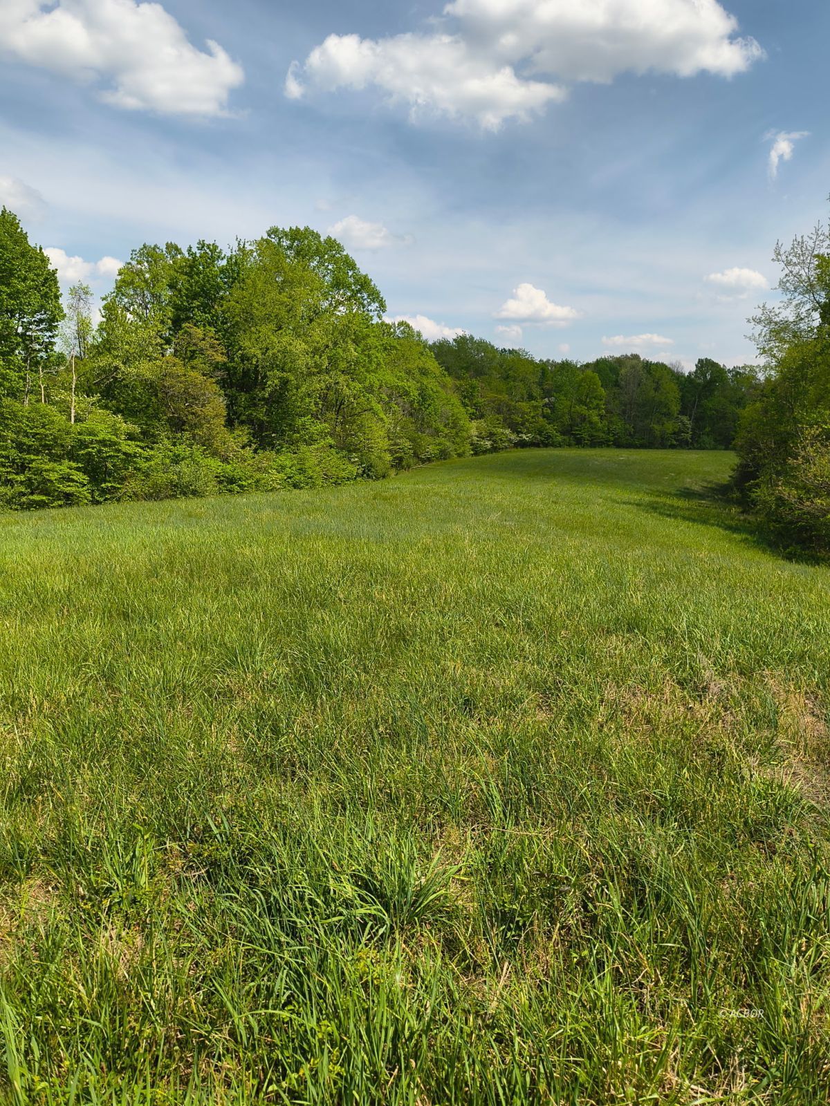 Hogue Hollow Rd