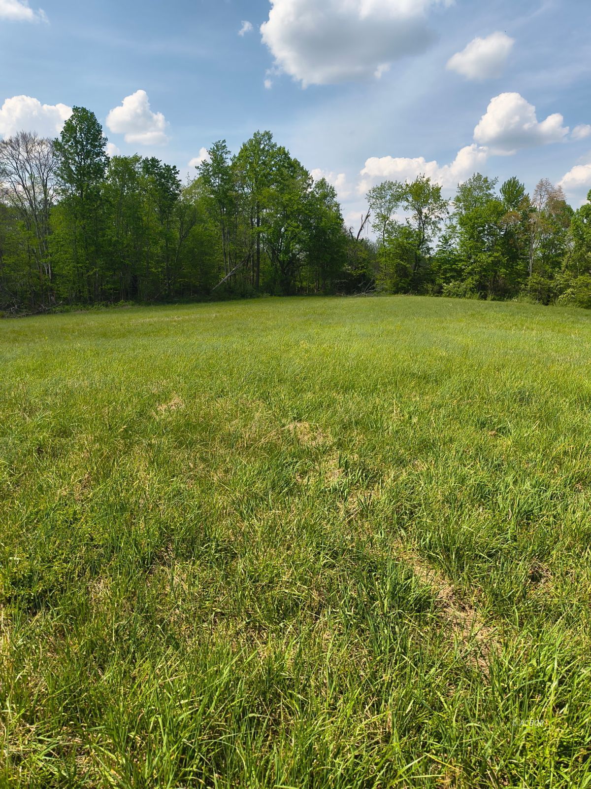 Hogue Hollow Rd