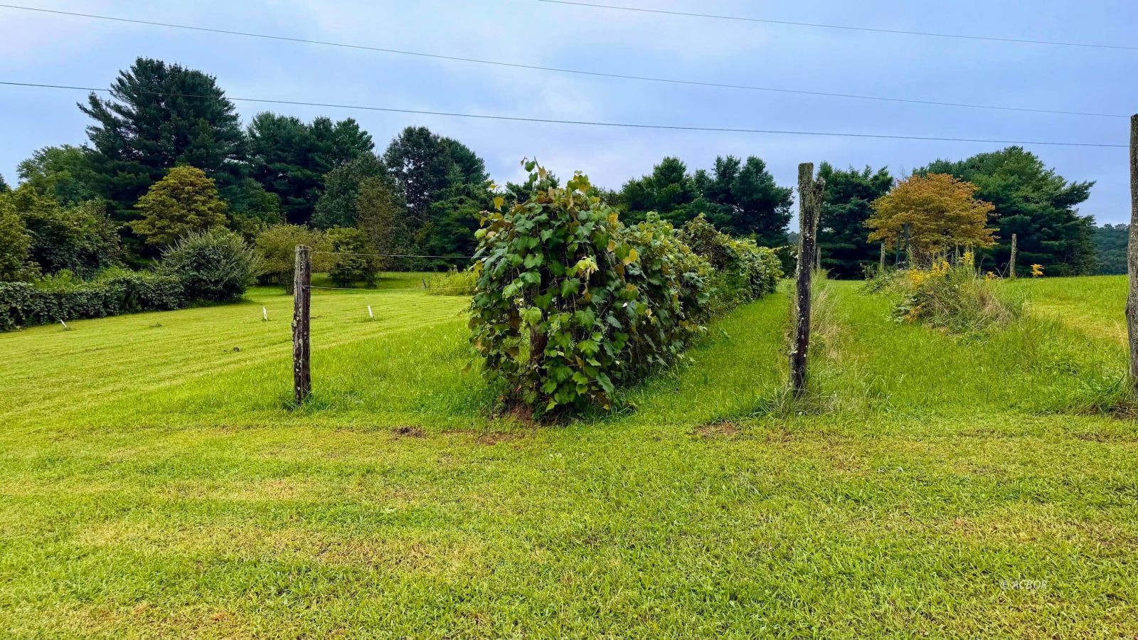 101 Old US 33 HWY