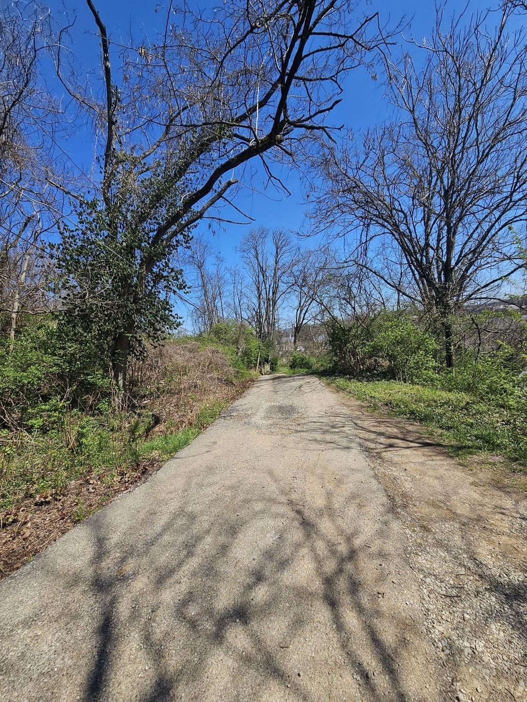 Photo of 514 Rockwood Ave, Chesapeake, OH 45619 (MLS # 2434761)