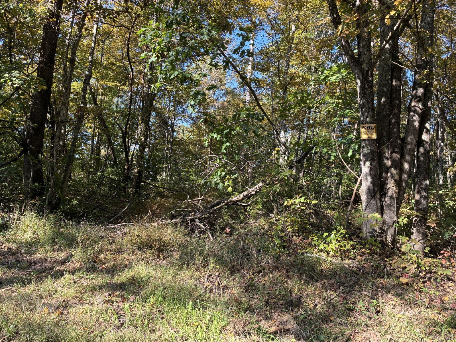 Vance Rd
