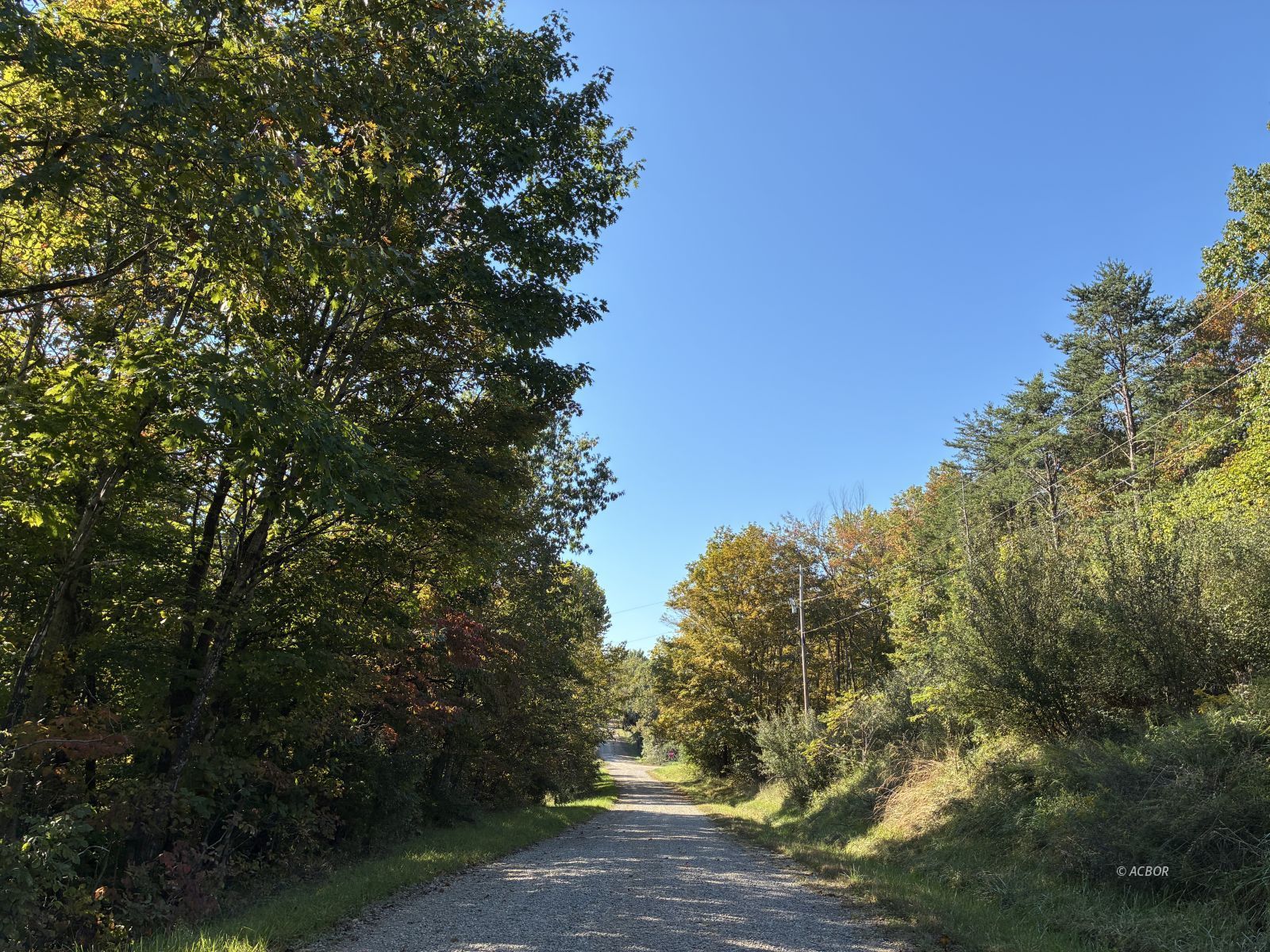 Vance Rd
