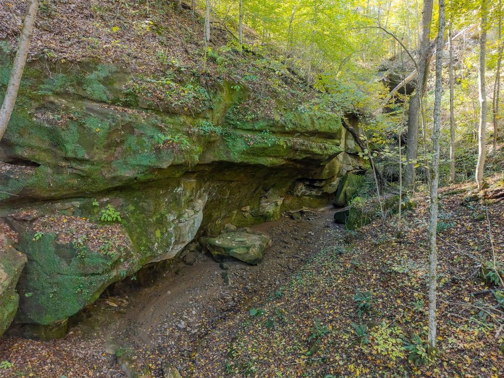 Photo of 15791 Willow Creek Rd, Athens, OH 45701 (MLS # 2434116)