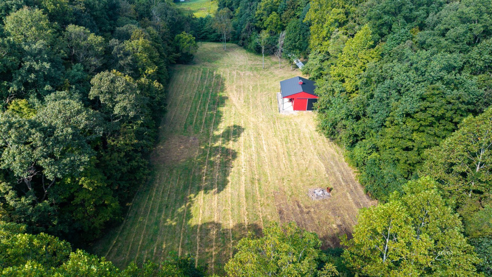 590 Scenic Dr.