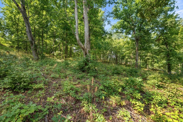 OAK RIDGE DR, GALLIPOLIS, OH 45631 - Image 6d376c6225bcd62667dfd944e722039b/2684183744