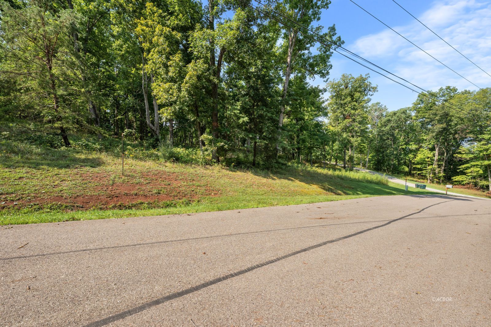Oak Ridge Drive
