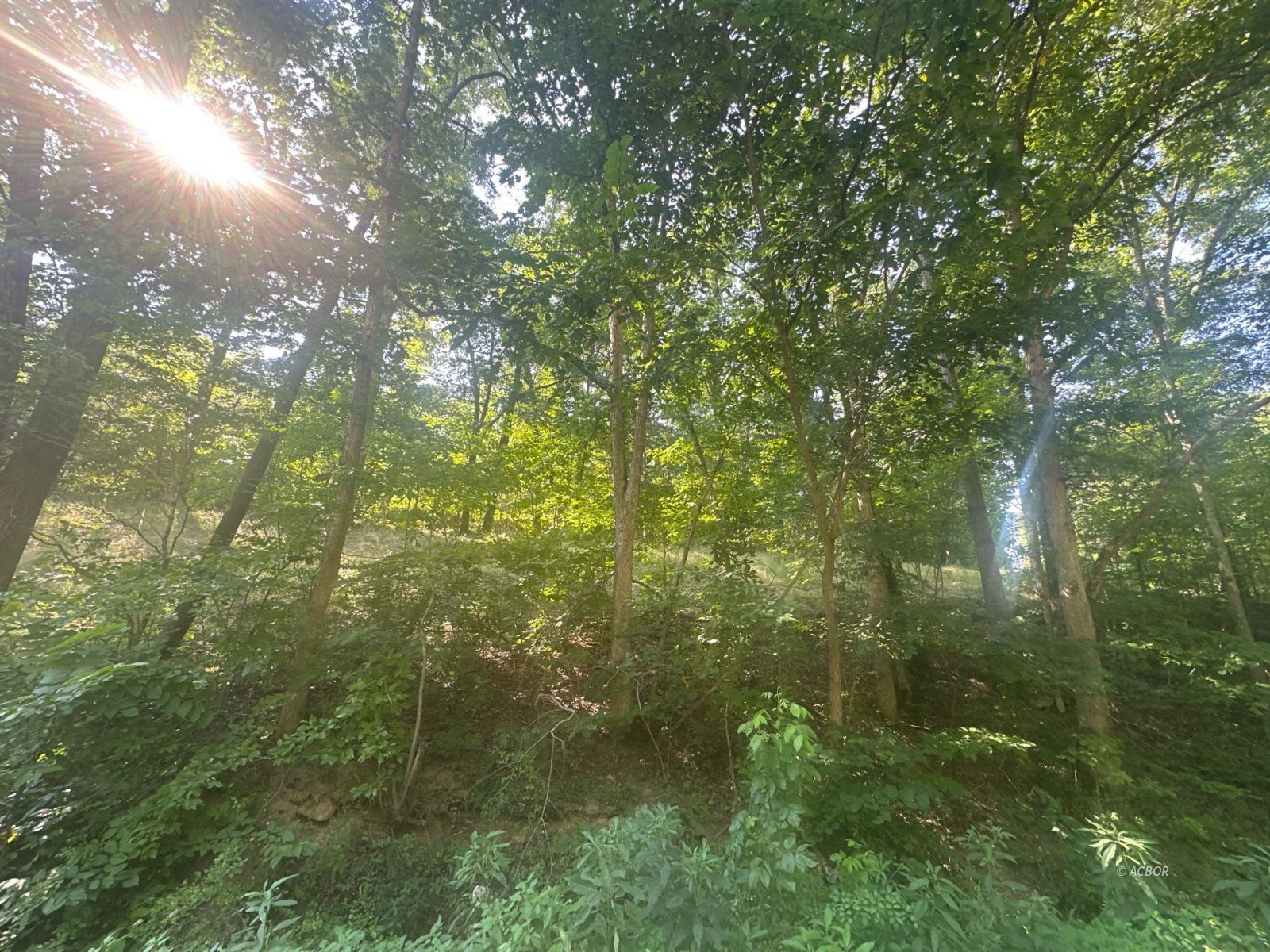 27908 Rock Run Rd