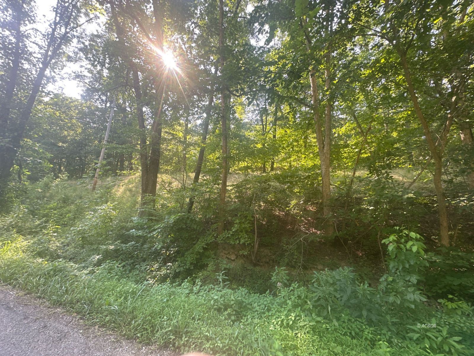 27908 Rock Run Rd